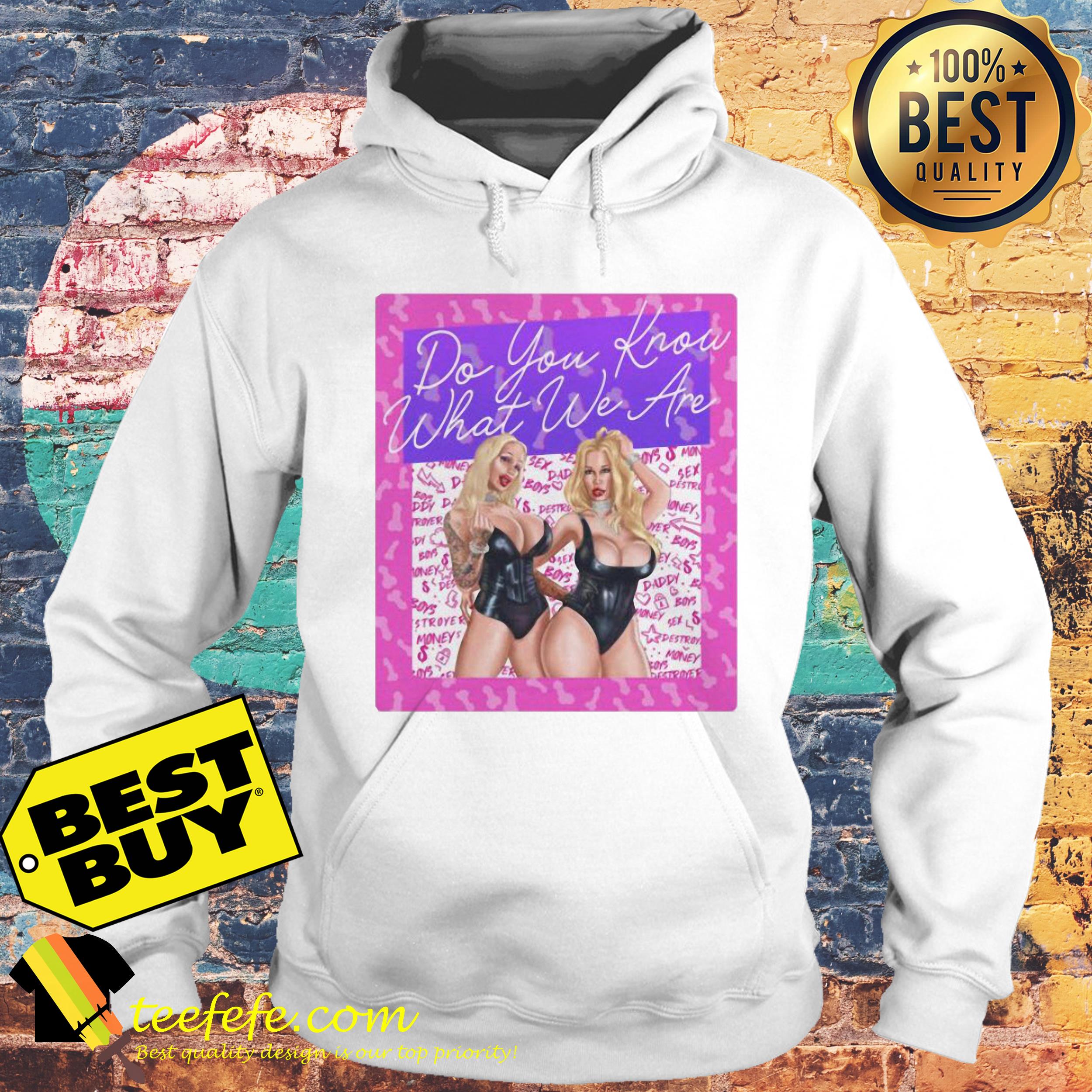 Rebecca More & Sophie Anderson destroyers do you know what you are hoodie