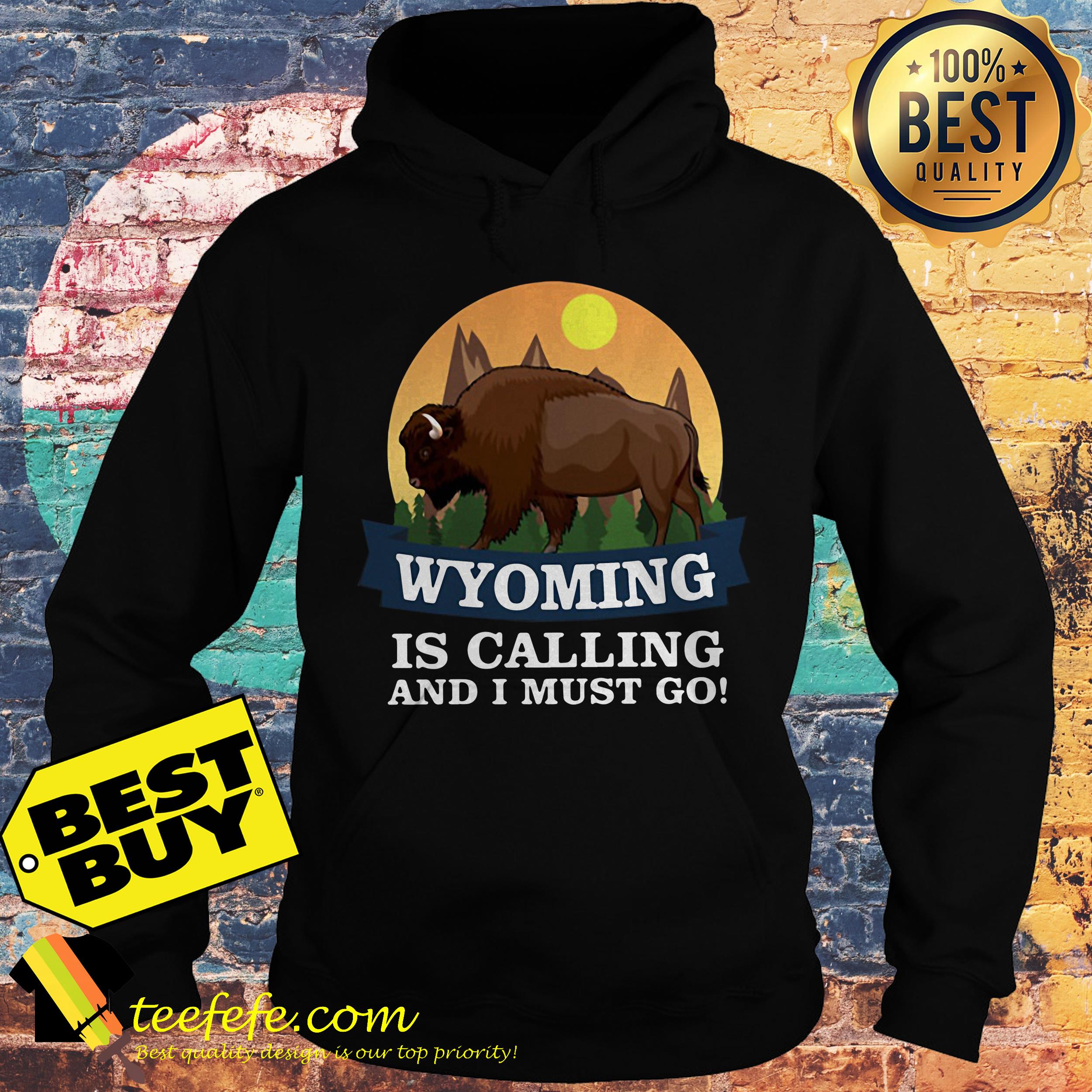 Wyoming buffalo is calling and I must go hoodie
