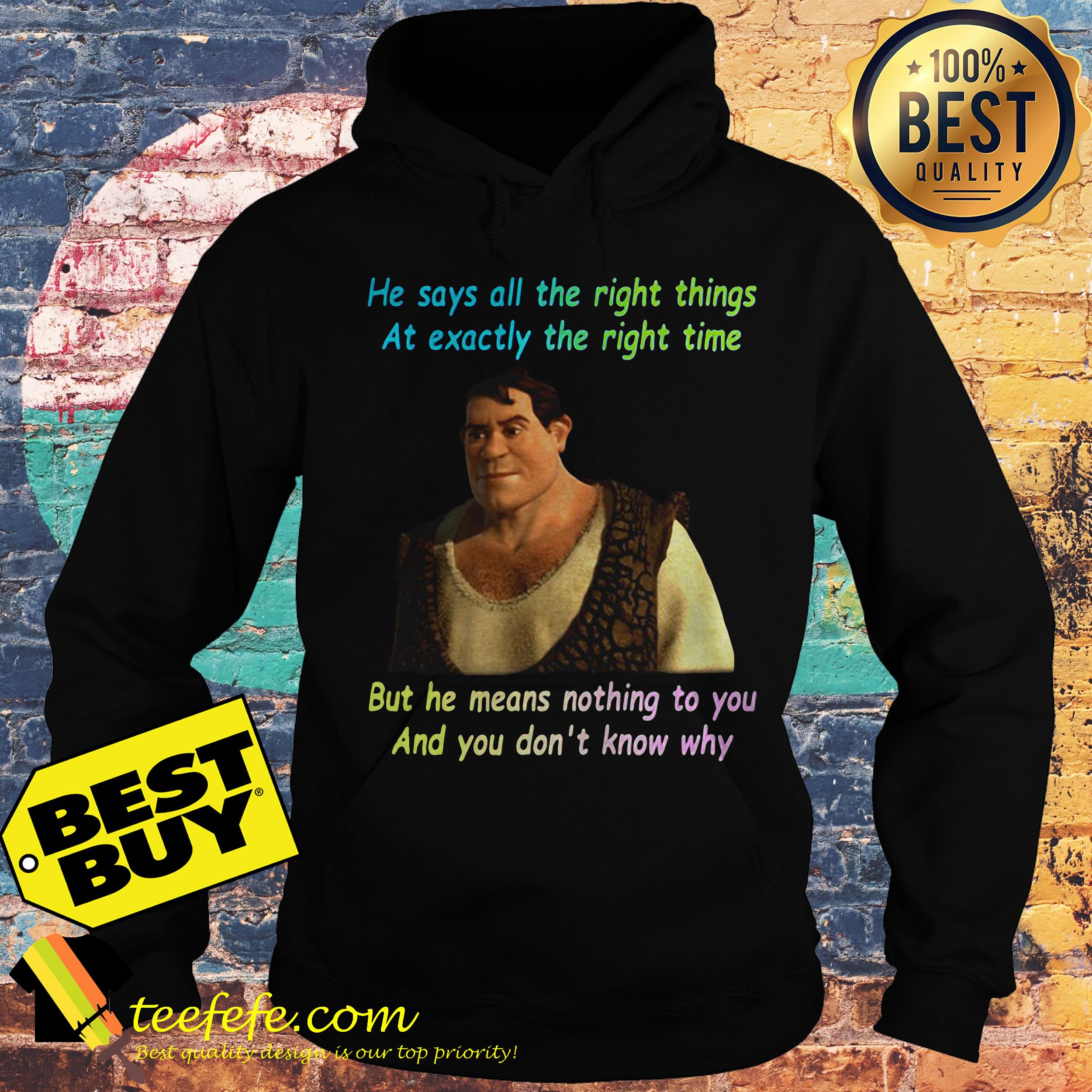 He Says All The Right Things At Exactly The Right Time Shrek hoodie