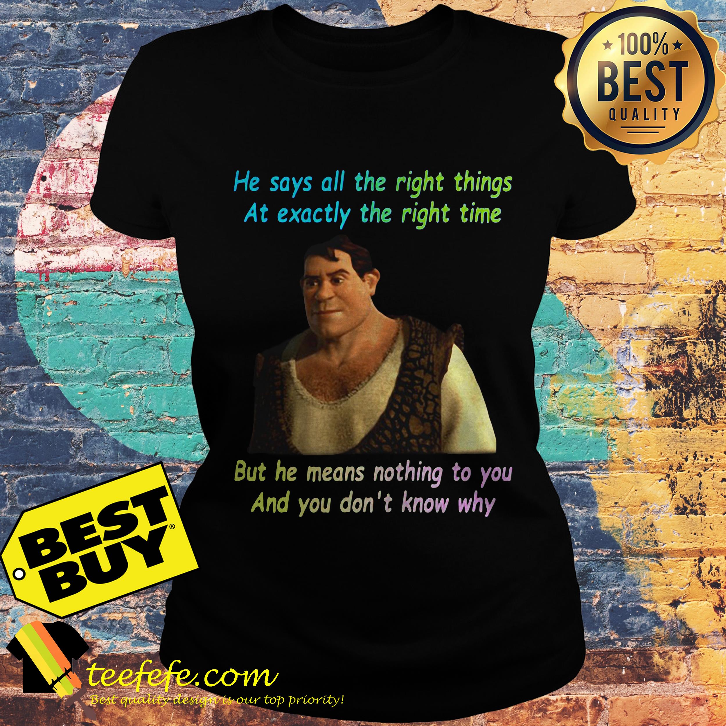 He Says All The Right Things At Exactly The Right Time Shrek ladies tee