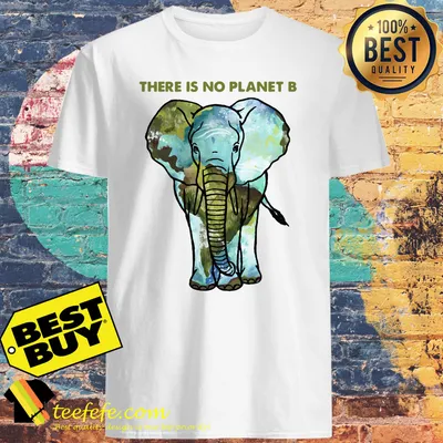 Elephant there is no planet B shirt