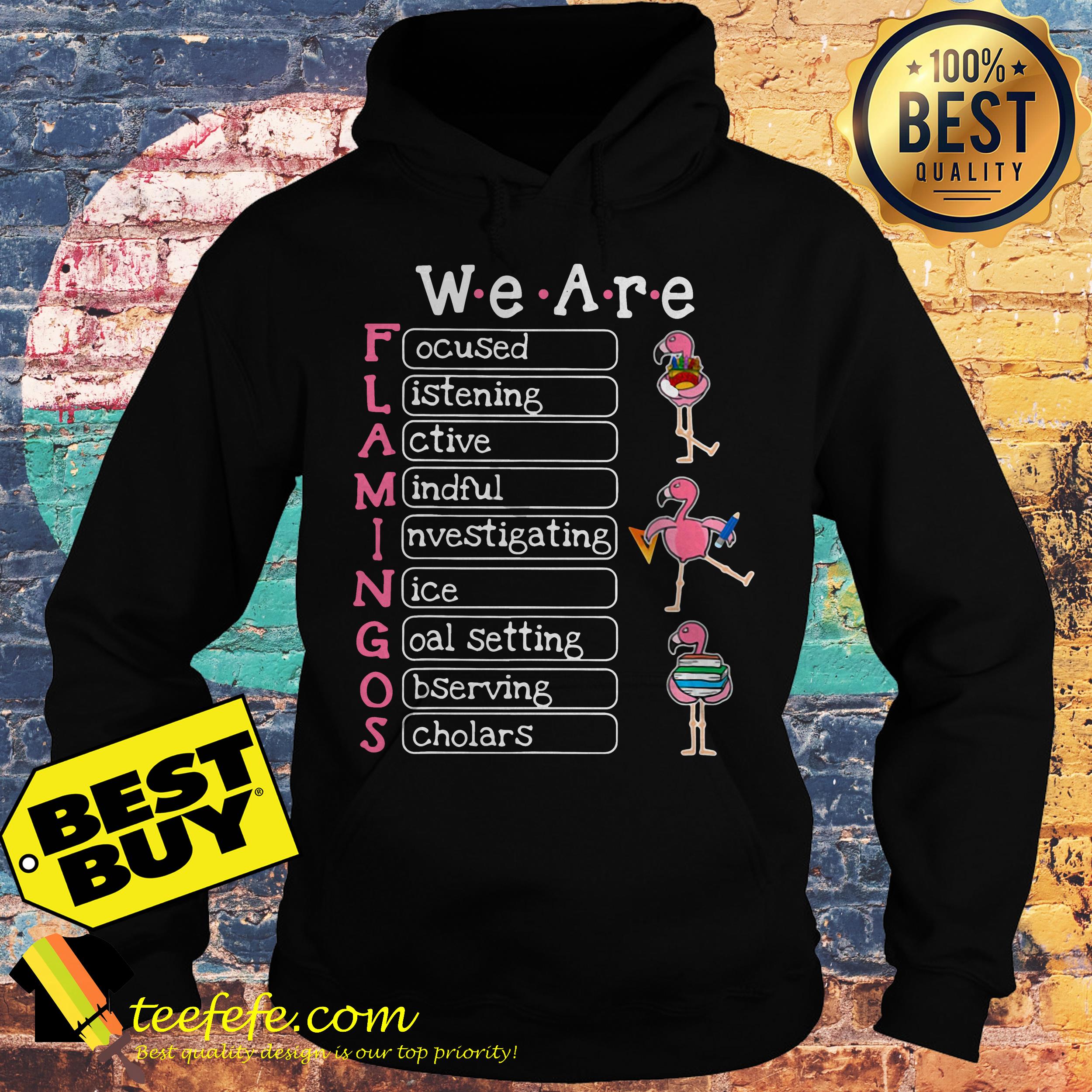 Flamingo We are focused listening active Mindful Investigating hoodie