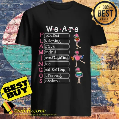Flamingo We are focused listening active Mindful Investigating shirt