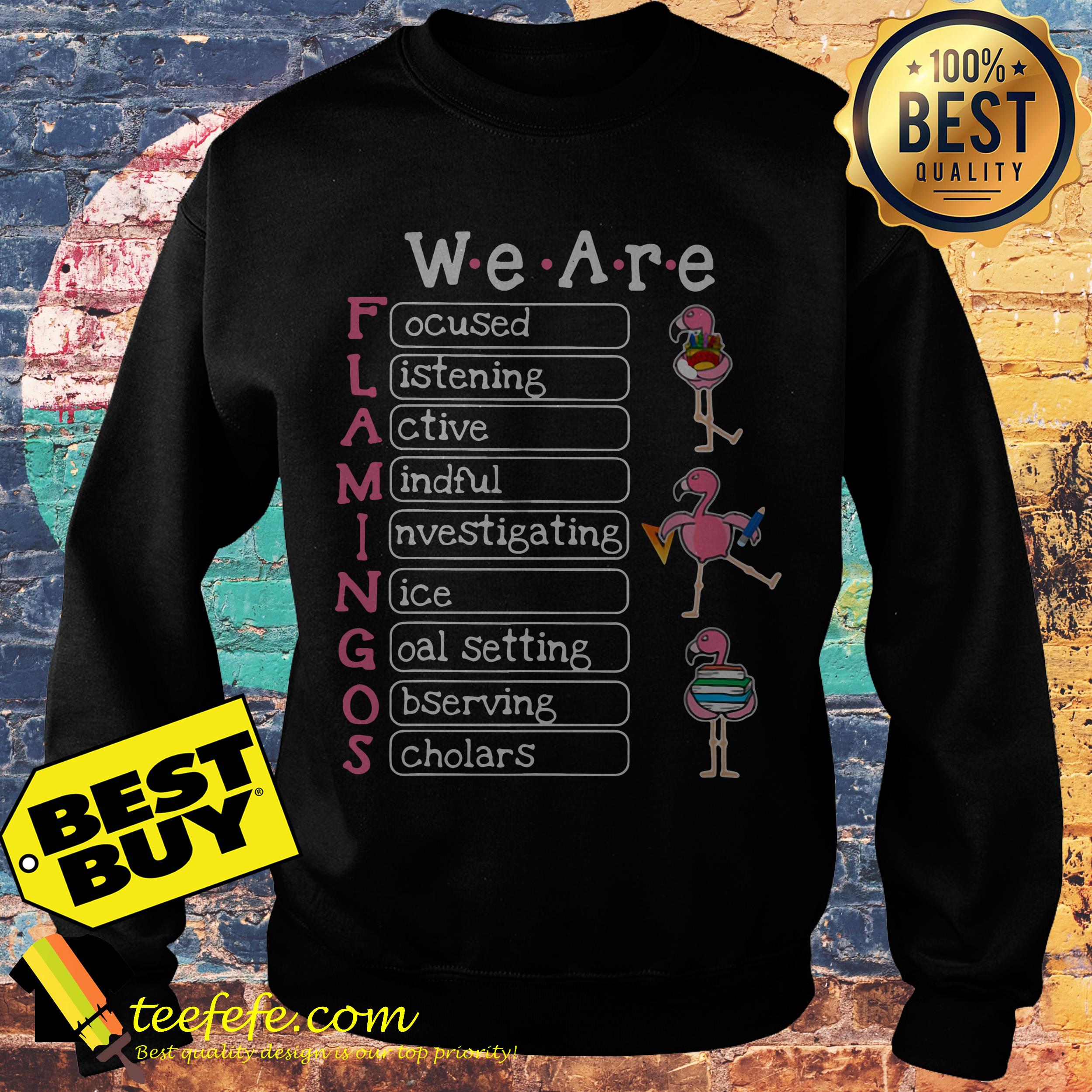 Flamingo We are focused listening active Mindful Investigating sweatshirt