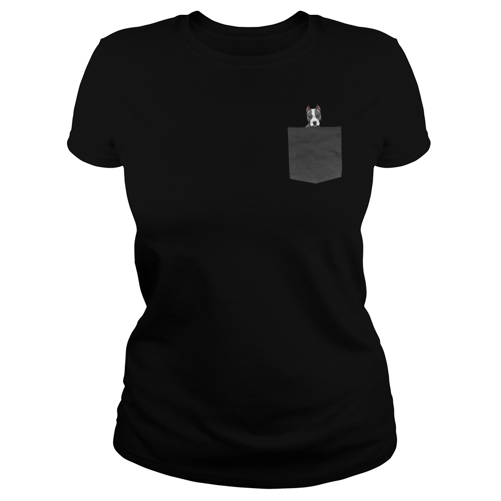 Pitbull in pocket cute ladies tee