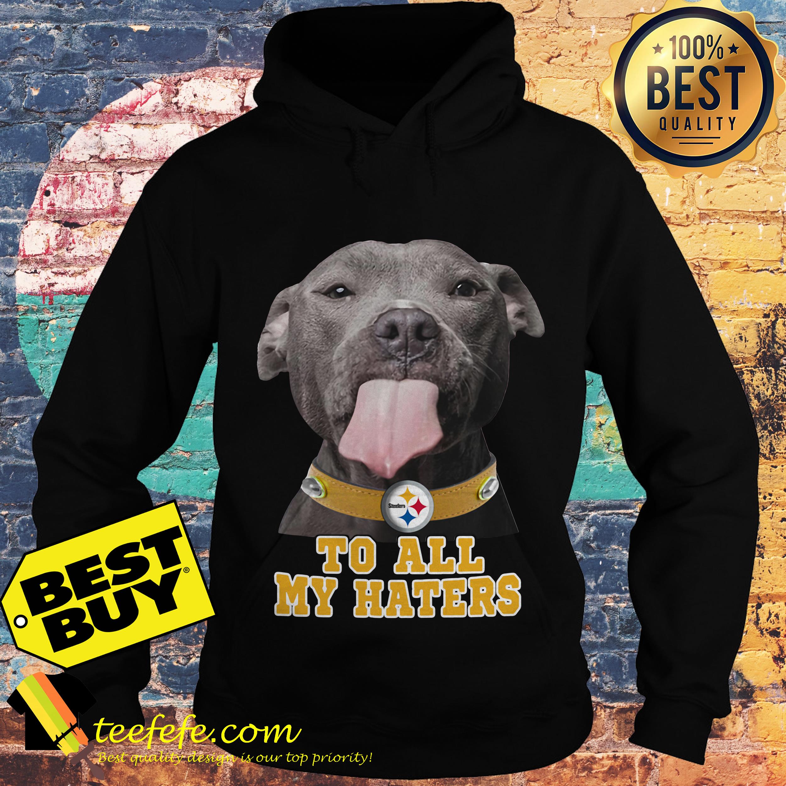 Pitbull Steelers to all my haters hoodie