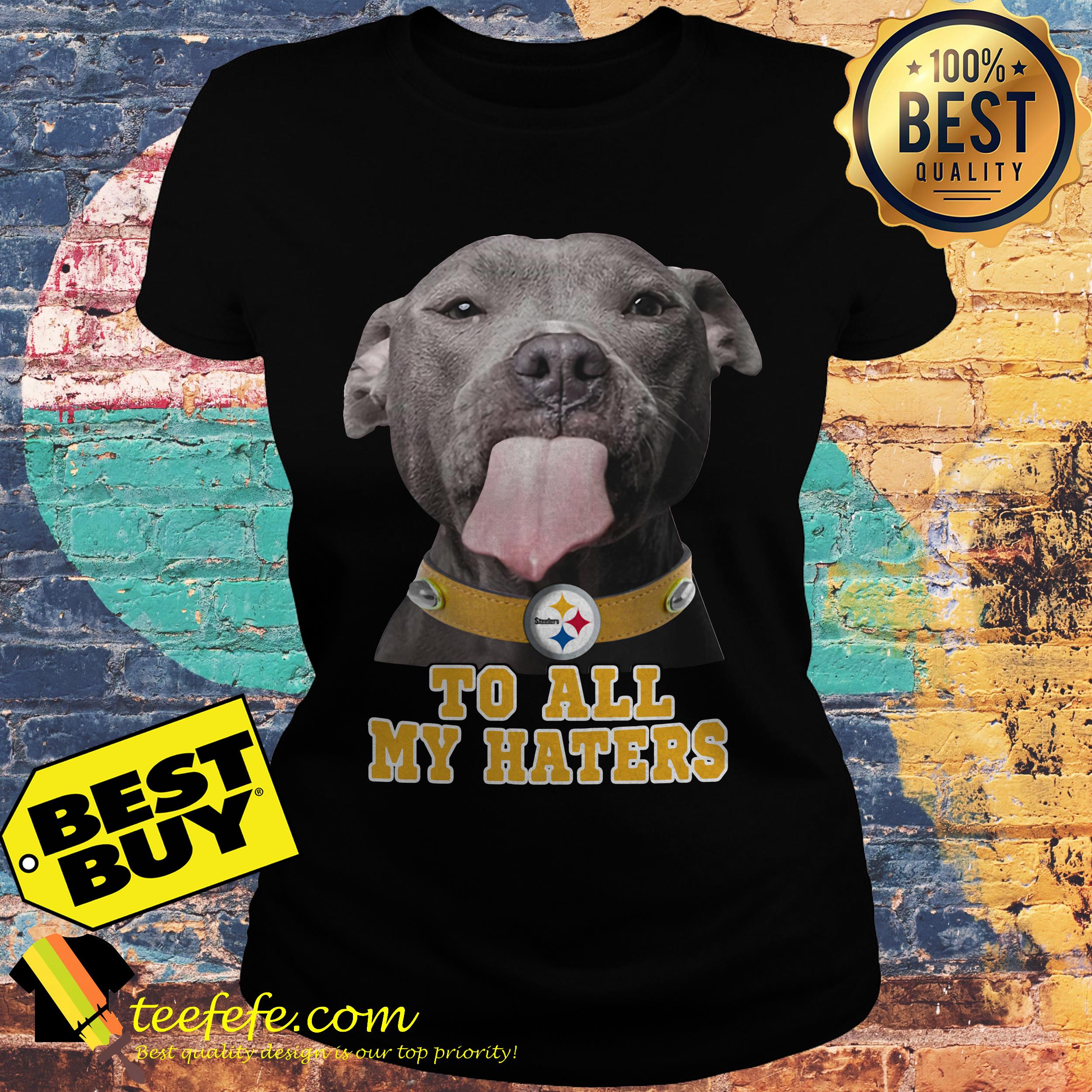 Pitbull Steelers to all my haters ladies tee