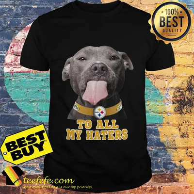 Pitbull Steelers to all my haters shirt