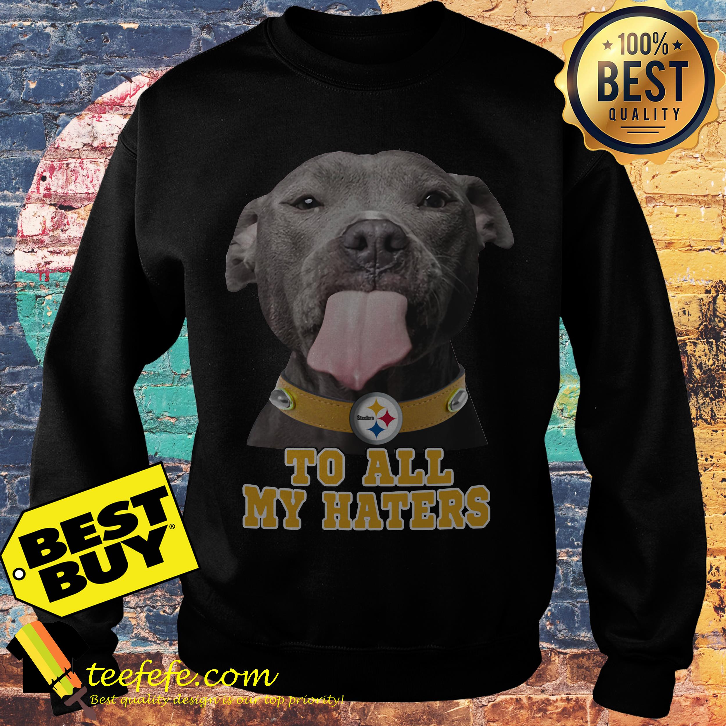 Pitbull Steelers to all my haters sweatshirt