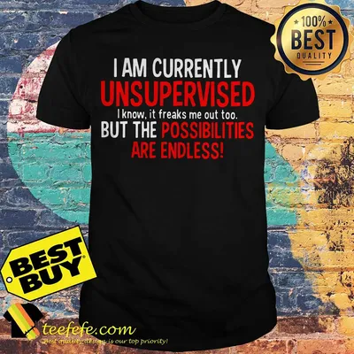 I am currently unsupervised I know it freaks me out too but the possibilities are endless shirt