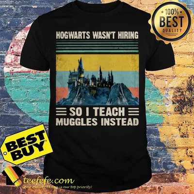 Hogwarts wasn't hiring so I teach muggles instead vintage shirt