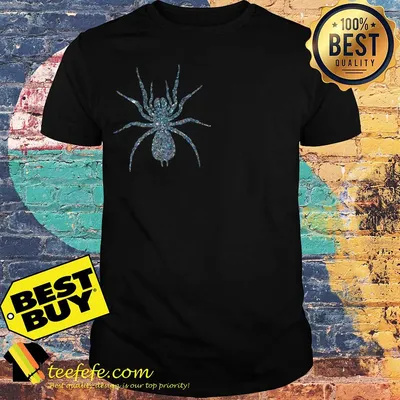 Lady Hale Spider brooch shirt