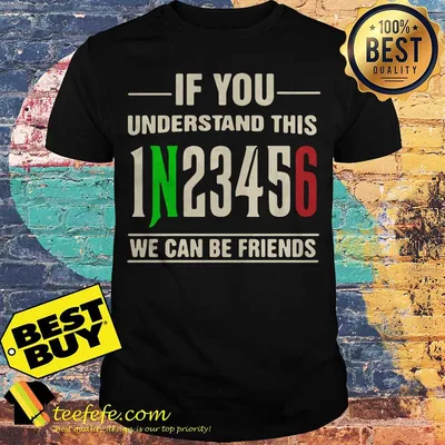 If You Understand This 1N23456 We Can Be Friends Shirt