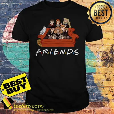 Owl Harry Potter Ron and Hermione Friends shirt