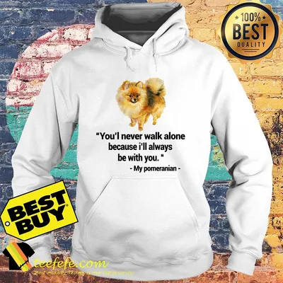 You'll never walk alone because I'll always be with you my Pomeranian shirt sweater