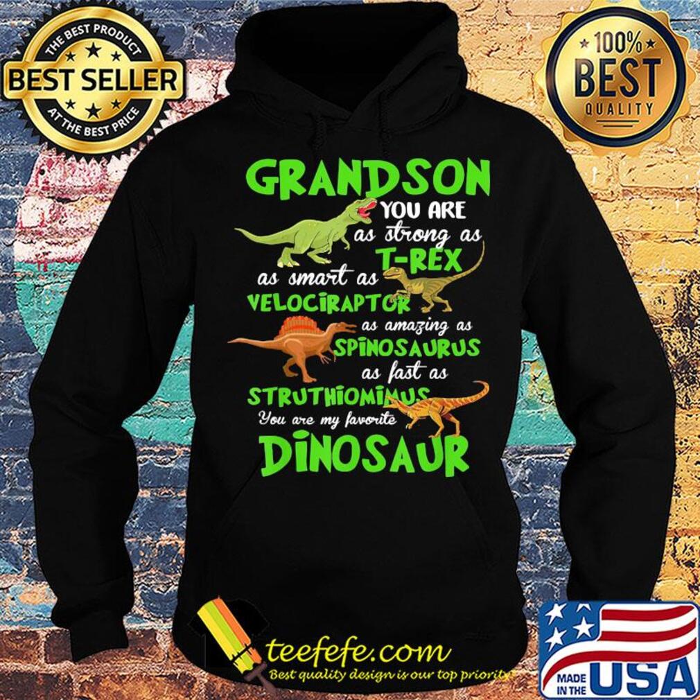 Grandson you are as strong as T-rex as smart as velociraptor Dinosaur s Hoodie Grandson you are as strong as T-rex as smart as velociraptor Dinosaur s Hoodie