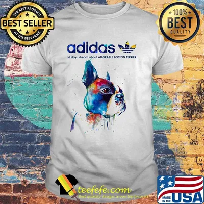 Adidas all day I dream about Adorable Boston Terrier life shirt