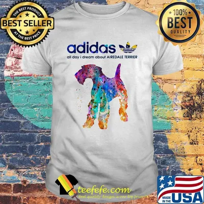 Adidas all day I dream about Airedale Terrier shirt