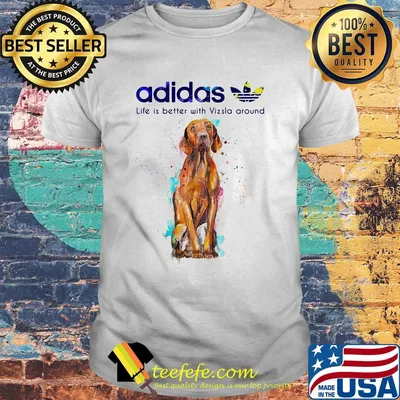 Adidas all day I dream about Vizsla around shirt