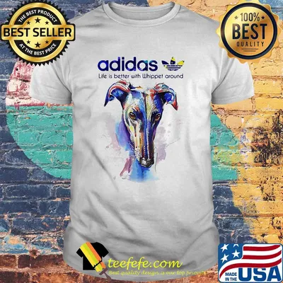 Adidas all day I dream about Whippet around Coloful shirt