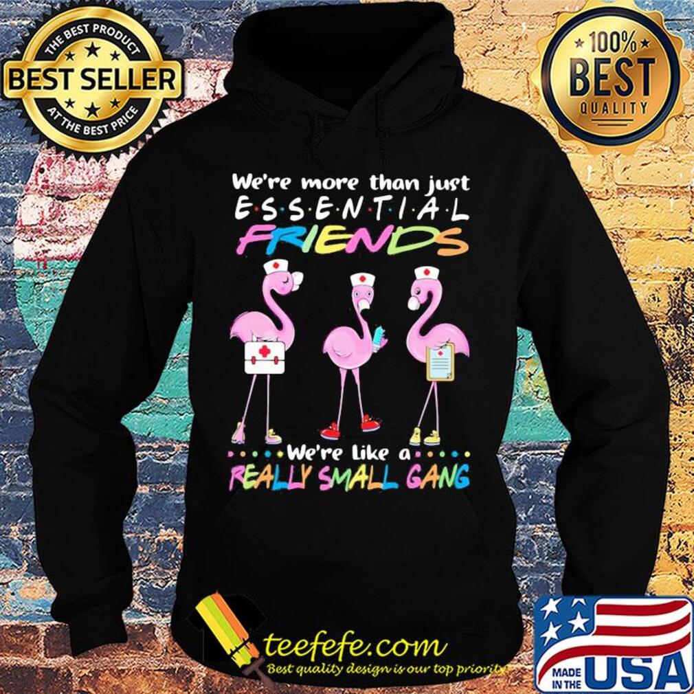 Flamingo nurse we're more than just essential friends we're like a really small gang s Hoodie Flamingo nurse we're more than just essential friends we're like a really small gang s Hoodie