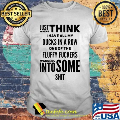 Just when I think I have all my ducks in a row one of the fluffy fuckers wanders into some shit shirt