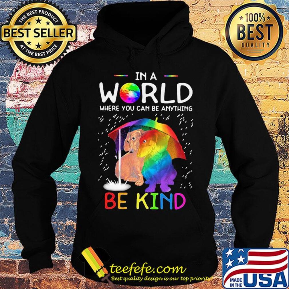 LGBT in world where you can be anything be kind dachshund rain s Hoodie LGBT in world where you can be anything be kind dachshund rain s Hoodie