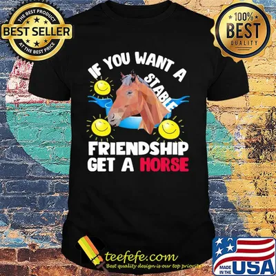 Sun If you want a stable friendship get a horse shirt