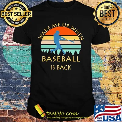 Wake me up when baseball is back vintage shirt