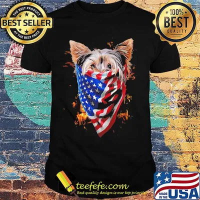 Yorkshire terrier fire in sight american flag shirt