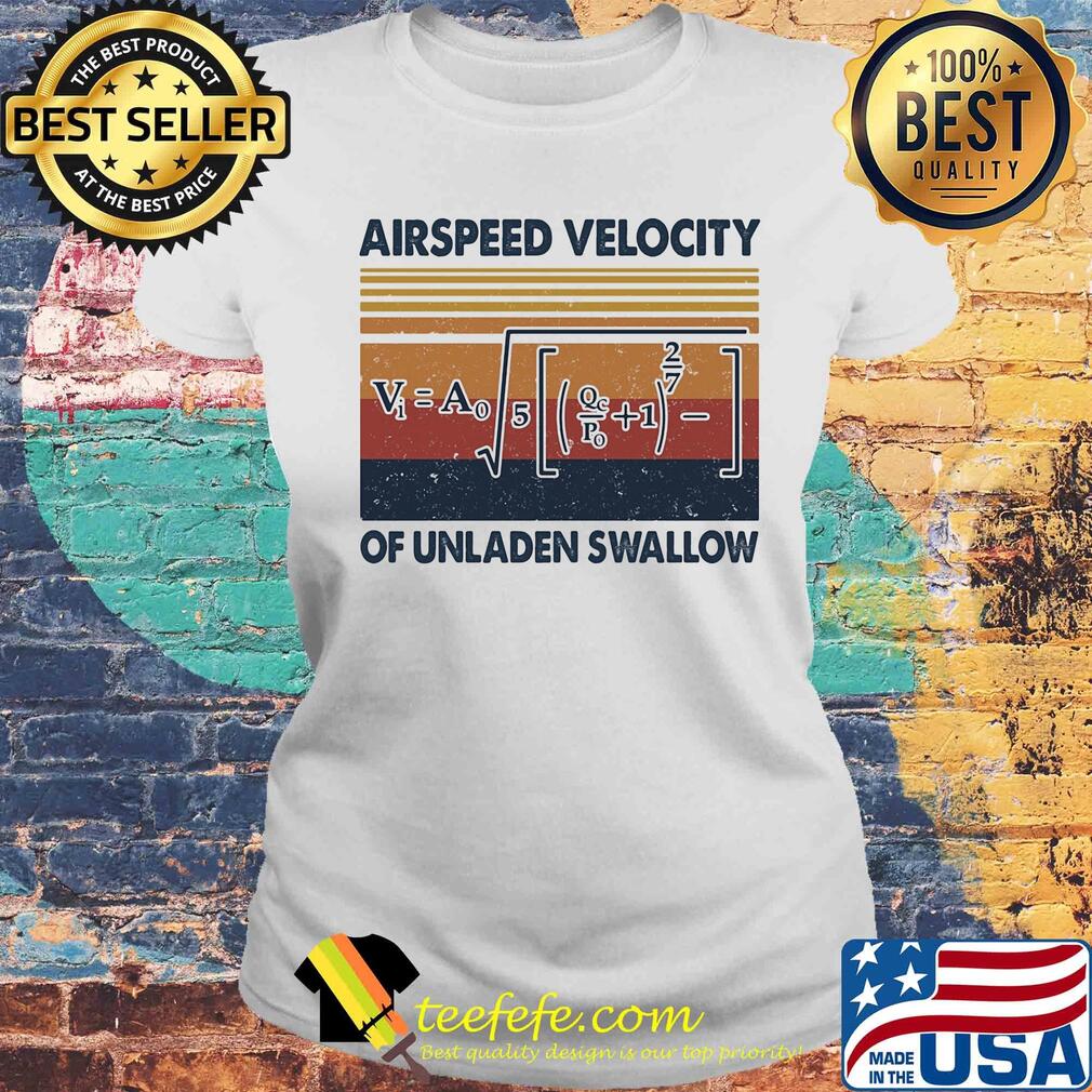 Airspeed velocity of unladen swallow vintage s Laides tee Airspeed velocity of unladen swallow vintage s Laides tee