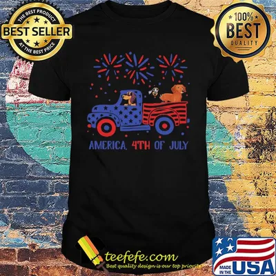 America 4th of July car dog American flag veteran Independence Day shirt