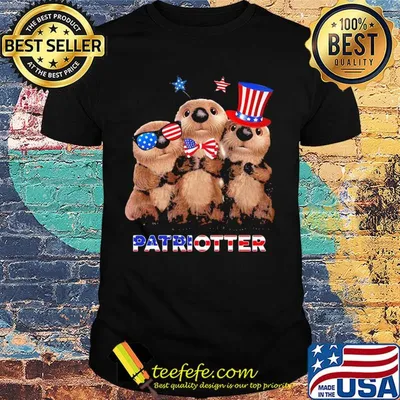 America Flag Patriotter Independence day shirt