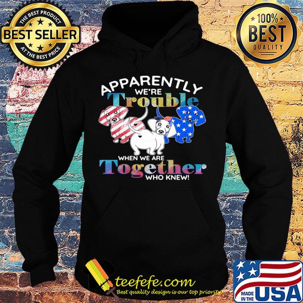 Apparently we're trouble Dachshund American flag veteran Independence Day s Hoodie Apparently we're trouble Dachshund American flag veteran Independence Day s Hoodie