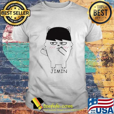 Bts bangtan boy same cartoon jimin shirt