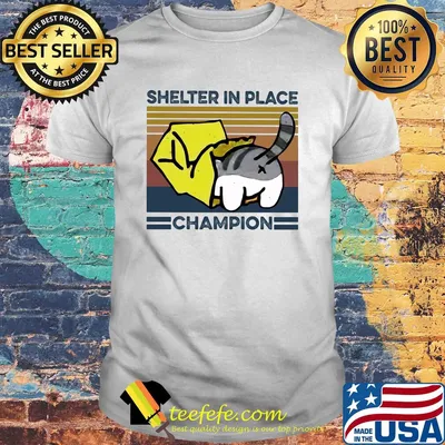 Cat shelter in place champion vintage shirt