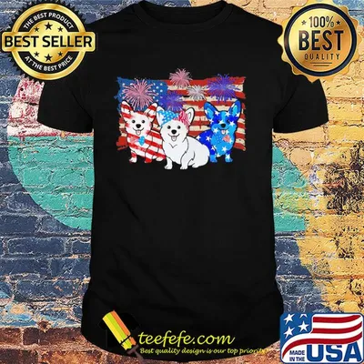 Corgi firework american flag independence day shirt