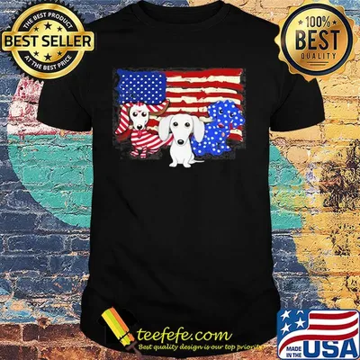 Dachshund 2 flag US American flag Independence Day veteran shirt