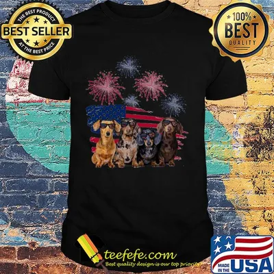 Dachshunds firework american flag independence day shirt