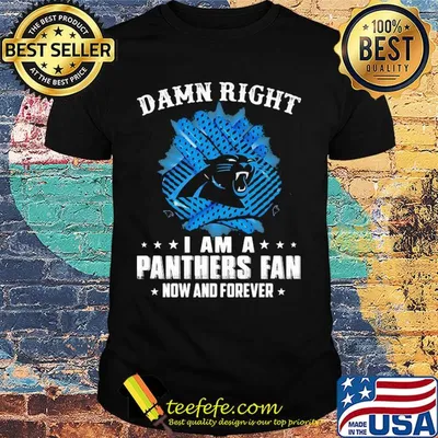 Damn right I am a panthers fan now and forever shirt