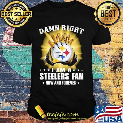 Damn right i am a steelers fan now and forever stars shirt