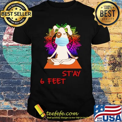 Dog yoga chill stay 6 feet mask covid-19 shirt