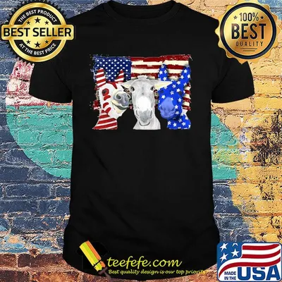 Donkey 2 flag US American flag Independence Day veteran shirt