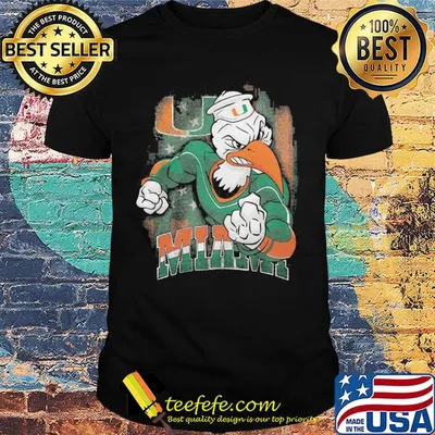 Duck player Miami hurricanes team football shirt