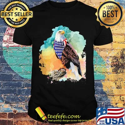 Eagle American flag veteran Independence Day shirt