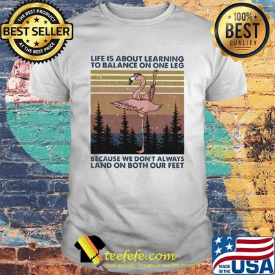 Flamingo life is about learning to balance on the leg because we don’t always land on both our feet vintage shirt
