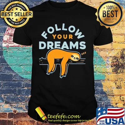 Follow your dreams sloth shirt