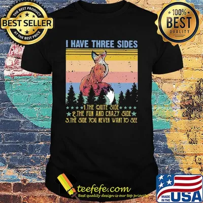 Fox I have three sides the quiet side the fun and crazy side the side you never want to see vintage shirt