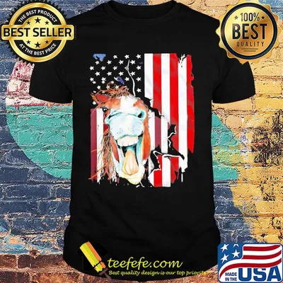Horse American flag veteran Independence Day shirt