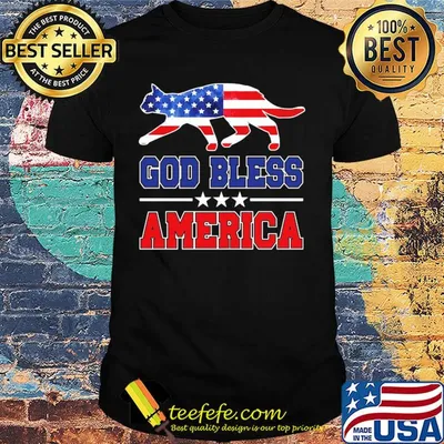 Independence Day cat god bless america shirt